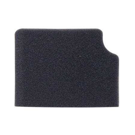 Riccar B222-0100 Secondary Filter Black