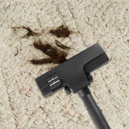 Your vacuum's right hand man against pet hair