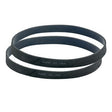 Riccar RS20-B2 Upright Belt Vibrance R20 and 8000 Series 2-Pk