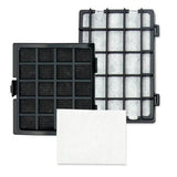 Riccar RF30P Hepa And Granulated Charcoal Filters R30PET R30P